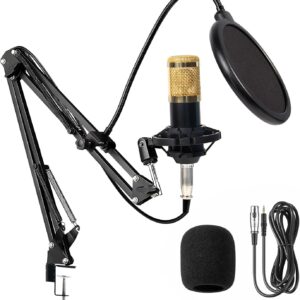 Microfone Condensador, Kit Microfone Condensador com Braço Articulado e Pop Filter para Transmissão Ao Vivo, Podcast, Gravação de Audio